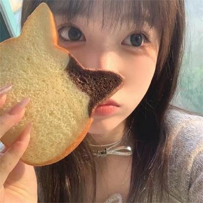 你好喵室友