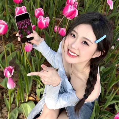 钢炽之芯